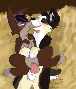 animal_genitalia animal_penis balls bodily_fluids canine_genitalia canine_penis clitoris duo erection female female_penetrated feral feral_on_feral feral_penetrated feral_penetrating feral_penetrating_feral floating_eyebrows genitals humanoid_genitalia humanoid_genitalia_on_feral humanoid_vulva humanoid_vulva_on_feral interspecies kissing knot knotted_penis making_out male male/female male_penetrating male_penetrating_female penetration penile penile_penetration penis sex tongue vaginal vaginal_penetration vulva vixeyhuskybutt border_collie canid canine canis collie domestic_dog herding_dog lagomorph leporid mammal pastoral_dog rabbit sheepdog hi_res