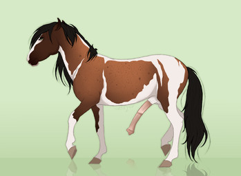 animal_genitalia animal_penis black_mane black_tail brown_body equine_genitalia equine_penis erection feral genitals green_eyes male mane markings medial_ring mouth_closed penis pink_penis quadruped reflection side_view simple_background solo spots spotted_body tail white_body huskii-s equid equine horse mammal hi_res signature