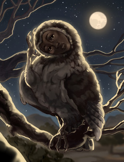backlighting branch confusion feathers female feral in_tree light moon night on_branch plant solo tree bevikosi avian bird lomibu owl hi_res lighting