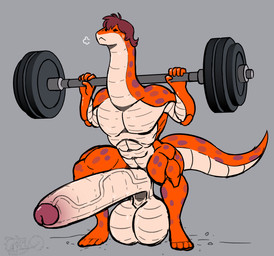 abs anthro balls big_balls big_penis blush crouching erection exercise foreskin genitals hair huge_balls huge_penis hyper hyper_balls hyper_genitalia hyper_penis male muscular muscular_male nude penis scales solo vein veiny_penis weightlifting weights workout commanderthings reptile scalie snake hi_res