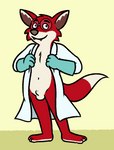 animal_genitalia anthro balls barefoot bottomless clothed clothing coat eyewear feet fur genitals glasses gloves handwear lab_coat lab_coat_only looking_at_viewer male red_body red_fur sheath solo standing topwear nishi_oxnard bob's_burgers professor_foxtail canid canine fox mammal