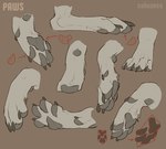 claws dewclaw feet fur pawpads paws spread_toes toes cakezess canid canine mammal