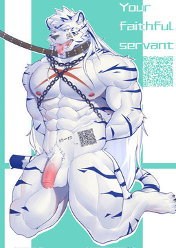 abs anthro bdsm bound chain chained collar flaccid foreskin genitals hair hands_behind_back kneeling leash leashed_collar male muscular muscular_male muscular_sub one_eye_closed partially_retracted_foreskin pecs penis qr_code scar simple_background slave solo striped_body stripes submissive three-quarter_view tongue tongue_out white_body zh_tiger_wolf felid mammal pantherine tiger hi_res