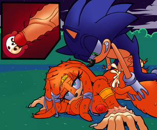 anthro armlet big_breasts big_penis black_nose blue_eyes blush bodily_fluids breast_rest breasts cervical_penetration circlet cum cum_in_uterus cum_in_vagina cum_inside cutaway duo erection female female_penetrated genital_fluids genitals green_eyes hand_on_another's_butt hand_on_butt huge_breasts huge_penis humanoid_genitalia humanoid_penis internal internal_vaginal male male/female male_penetrating male_penetrating_female night nipples nude open_mouth outside penetration penile penile_penetration penis penis_in_vagina sex sweat uterus vaginal vaginal_canal vaginal_penetration naroflow superbunnygt sega sonic_adventure sonic_the_hedgehog_(series) sonic_the_hedgehog tikal_the_echidna tikal_the_wereechidna echidna eulipotyphlan hedgehog mammal monotreme werecreature wereechidna weremonotreme 6:5 absurd_res digital_media_(artwork) hi_res source_request unavailable_at_source