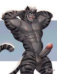 abs absurd_res anthro balls biceps big_muscles blue_eyes erection felid fur genitals grey_body grey_fur hair hands_behind_head hi_res humanoid_genitalia humanoid_penis looking_at_viewer male mammal muscular muscular_anthro muscular_male nipples nude open_mouth pantherine pecs penis pose raytig12 smile solo standing striped_body striped_fur stripes tiger white_hair