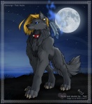 2007 blue_eyes canid canine canis collar digital_media_(artwork) digitigrade female feral fleki_(character) mammal night outside quadruped sky solo star starry_sky tail wolf wolfy-nail