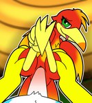 3_toes anthro anthro_on_feral bedroom_eyes bestiality blush clitoris curling_toes depth_of_field duo eyelashes feathered_wings feathers feet female feral first_person_view genitals green_eyes head_tuft leg_grab lying male male/female multicolored_body narrowed_eyes on_back outline outside outside_sex penetration penile penile_penetration penis penis_in_pussy pussy seductive sex solo_focus tail tail_feathers talons thigh_grab toes tongue tongue_out tree_stump tuft vaginal vaginal_penetration white_outline wings otterjunk banjo-kazooie rareware kazooie taylor_vee avian breegull 2025 animated digital_drawing_(artwork) digital_media_(artwork) hi_res loop short_playtime tagme