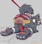 all_fours angry anthro anus bdsm black_body blush bodily_fluids bondage_gear bruised clenched_teeth cock_and_ball_torture collar cuff_(restraint) embarrassed erection forced genital_fluids genital_torture genitals humanoid_genitalia humanoid_penis humbler humiliation kemono leaking_precum leash leash_pull leashed_collar male pawpads penis precum precum_on_ground raised_tail rear_view restraints shackles shota simple_background slave solo straining tail teeth vein veiny_penis whip_mark whip_mark_on_butt yellow_eyes young young_anthro young_male roaringmoon canid canine canis domestic_dog mammal signature