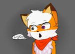 arms_by_side heterochromia kerchief male neckerchief neckwear red_kerchief red_neckerchief solo straight_arms reversecall pogchamp reverse_(reversecall) canid canine fox mammal meme