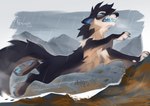 action_pose ambiguous_gender blue_eyes blue_pawpads chest_tuft cloud cloudy_sky detailed_background feral mountain outside pawpads pose raining sky solo tuft reysi canid canine mammal 2024 digital_media_(artwork) signature