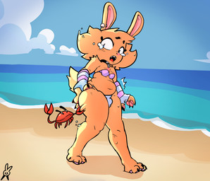 accident accidental_exposure ambiguous_gender anthro beach bodily_fluids bulge clothing flying_sweatdrops hand_on_butt hand_on_own_butt outside pinch shocked solo sweat sweatdrop swimwear tears dexterx arthropod crab crustacean decapod lagomorph malacostracan mammal