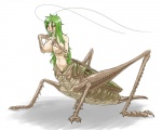 5:4 antennae_(anatomy) arthropod arthropod_abdomen arthropod_taur big_breasts bodily_fluids breasts brown_body brown_exoskeleton brown_eyes claws compound_eyes cricket cum cum_on_breasts cum_on_face exoskeleton female genital_fluids genitals green_body green_exoskeleton green_hair hair humanoid_taur insect insect_taur kaiki_hito_ningen light_body light_skin multi_leg multi_limb multicolored_body multicolored_exoskeleton nipples nude orthopterid pussy quadruped simple_background solo tan_body tan_pussy tan_skin taur teeth two_tone_body two_tone_exoskeleton white_background