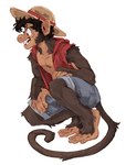 alternate_species anthro bare_chest bottomwear brown_body brown_fur clothing crouching fur furrification hat headgear headwear male scar shorts simple_background solo straw_hat white_background eenocs one_piece monkey_d._luffy haplorhine mammal monkey primate hi_res