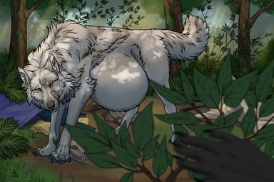 abdominal_bulge after_vore ambiguous_gender belly big_belly bone camp fatal_vore feral feral_pred fur licking licking_lips oral_vore skull tongue tongue_out vore white_body white_fur aggr.mor canid canine canis mammal wolf hi_res