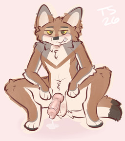 animal_genitalia animal_penis anthro balls blush blush_lines bodily_fluids canine_genitalia canine_penis crouching erection genital_fluids genitals hands_on_legs hands_on_thighs leaking_precum male natural_colors penis precum sly_expression smile solo yellow_eyes taintedstar onyx_noche_(fried_churro) canid canine canis coyote mammal hi_res