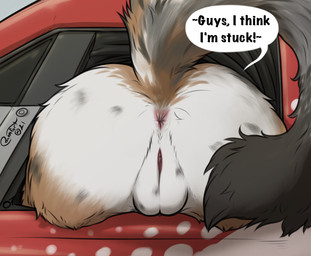 anthro anus bottomless butt car clothed clothing dialogue female female_anthro fur genitals inside_car inside_vehicle nude presenting presenting_anus presenting_hindquarters presenting_vulva raised_tail solo speech_bubble stuck tail tail_anus text through_window vehicle vulva window blokfort canid canine canis domestic_dog mammal 2021 dated english_text