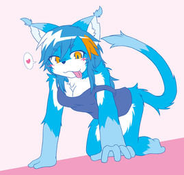 all_fours amber_eyes anthro blue_body blue_fur blue_hair blush bottomless breasts butt clothed clothing ear_tuft female fur hair heart_symbol inner_ear_fluff kemono looking_at_viewer orange_hair pink_background simple_background solo speech_bubble tongue tongue_out tuft white_body white_fur acky05 felid feline mammal 2015
