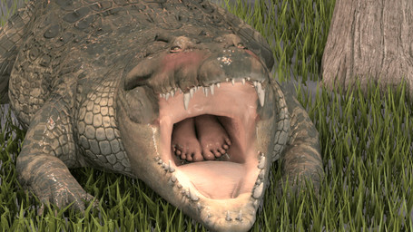 almost_fully_inside ambiguous_gender belly blush breath bulging_belly eyes_closed feet feral fully_inside grass open_mouth oral_vore plant satisfied slightly_chubby swallowed_alive swallowing tail tail_motion tailwag vore amiafurryoraminotidkk crocodile crocodilian human mammal reptile scalie 16:9 3d_(artwork) 3d_animation animated digital_media_(artwork) widescreen