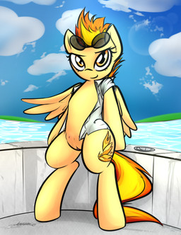 anthro bottomless clothed clothing cloud cutie_mark eyewear eyewear_on_head female genitals hair leaning looking_at_viewer nipples on_hind_legs open_clothing open_shirt open_topwear orange_eyes outside poolside shirt shirt_only sky smile solo sunglasses sunglasses_on_head swimming_pool tail teats topwear topwear_only vulva water wings yellow_body jetwave friendship_is_magic hasbro my_little_pony mythology spitfire_(mlp) wonderbolts_(mlp) equid equine mammal mythological_creature mythological_equine pegasus 2016 absurd_res digital_drawing_(artwork) digital_media_(artwork) full-length_portrait hi_res portrait