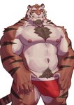 5_fingers anthro biceps big_biceps big_pecs body_hair briefs briefs_only brown_body brown_body_hair brown_facial_hair brown_fur brown_stripes bulge chest_tuft claws clothed clothing countershade_face countershade_hands countershade_legs countershade_torso countershading detailed_bulge facial_hair fingers fur goatee happy_trail looking_at_viewer male multicolored_body multicolored_fur muscular muscular_anthro muscular_arms muscular_male navel nipples orange_body orange_fur pecs pink_nipples pink_nose pubes red_briefs red_clothing red_underwear simple_background solo striped_body striped_fur stripes tan_body tan_fur topless trapezius tuft underwear underwear_only white_background white_claws adios azaghal_(character) felid mammal pantherine tiger 2023 absurd_res colored hi_res portrait three-quarter_portrait