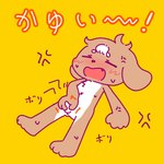 anthro kemono male masturbation nude solo text young 8rapeco_kirin ajitama canid canine canis domestic_dog mammal 1:1 hi_res japanese_text translated