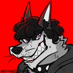 1:1 absurd_res anthro black_hair canid canine canis cheek_tuft clothed clothing collar curled_hair davezdumpster digital_drawing_(artwork) digital_media_(artwork) esteban_(wolfnes) facial_tuft fangs fur grey_body grey_clothing grey_fur grey_hoodie grey_topwear hair hi_res hoodie humanoid_pointy_ears male mammal open_mouth portrait purple_eyes red_background signature simple_background smile solo spiked_collar spikes teeth topwear tuft whiskers wolf