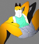 anthro anus male nipples sitting solo vdrebi odd_taxi fuyuki_yamamoto_(odd_taxi) canid canine mammal