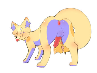 animal_genitalia anus balls butt canine_genitalia erection eyes_closed feral fur genitals looking_at_viewer male nude penis rear_view simple_background smile solo tail tongue tongue_out yellow_body yellow_fur bluchyccheese bluchy canid canine fox mammal