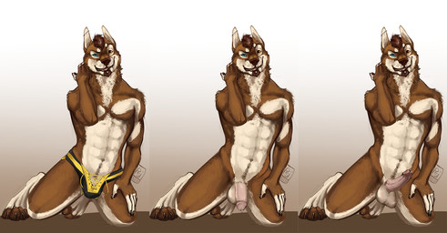 abs anthro athletic athletic_anthro athletic_male balls blue_eyes brown_body brown_fur brown_hair bulge chin_piercing clothed clothing ear_piercing erection facial_hair flaccid fur genital_piercing genitals goatee hair humanoid_genitalia humanoid_penis industrial_piercing kneeling looking_at_viewer male male_anthro neck_tuft nude nude_anthro nude_male open_mouth open_smile orange_eyes pecs penis penis_piercing piercing pink_penis prince_albert_piercing simple_background smile solo tan_body tan_fur teeth tongue topless topless_anthro topless_male tuft underwear underwear_only i-psilone canid canine canis dobermann domestic_dog husky hybrid mammal nordic_sled_dog pinscher spitz 2016 hi_res multiple_images