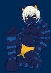 anthro bulge clothing fur hair male solo tail underwear roo310 e621 domestic_cat felid feline felis mammal absurd_res hi_res