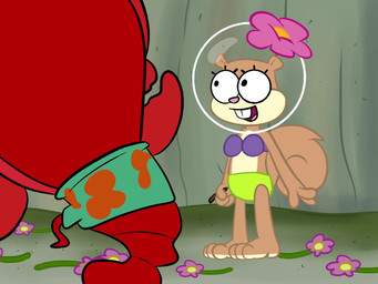 anthro barefoot blush bottomwear brown_body brown_fur buckteeth clothing covering covering_crotch covering_self embarrassed feet female fur looking_at_viewer nude_in_front_of_audience pants parody public public_nudity scene_parody solo tail teeth topwear torn_bottomwear torn_clothing torn_pants wardrobe_malfunction whistling wolf_whistle baggy_(artist) sound_warning nickelodeon spongebob_squarepants sandy_cheeks eastern_grey_squirrel grey_squirrel mammal rodent sciurid tree_squirrel 2d_animation 4:3 animated digital_media_(artwork) hi_res short_playtime sound subtle_animation webm