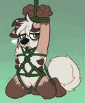 2021 absurd_res ambiguous_gender bdsm bondage bound canid canine crownedvictory hi_res mammal nervous null open_mouth restraints rope rope_bondage rope_harness simple_background solo