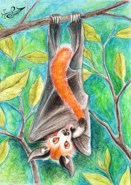 5_toes ambiguous_feral ambiguous_gender backwards_legs bat_ears bat_wings big_ears black_ears black_tail black_wings blep brown_body brown_fur calcar claws dipstick_tail feet feral fluffy fluffy_tail front_view fur fur_markings furry_tail hanging_by_feet hanging_from_branch leaf long_ears long_tail long_tongue looking_away markings membrane_(anatomy) membranous_wings monotone_wings multicolored_body multicolored_fur multicolored_tail nature nature_background orange_body orange_eyes orange_fur orange_tail outside pink_tongue plant plantigrade realistic_wings self_hug solo tail tail_markings toe_claws toes tongue tongue_out tragus tree upside_down wavy_tail white_body white_claws white_fur white_tail wings wings_instead_of_hands cloudweaver_(artist) jack_desmodus bat flying_fox grey-headed_flying_fox leaf-nosed_bat mammal megabat microbat painted_bat tube-lipped_nectar_bat vampire_bat vesper_bat yangochiropteran 2025 colored_pencil_(artwork) colored_sketch full-length_portrait hi_res portrait shaded signature sketch traditional_media_(artwork) nonbinary_(lore)