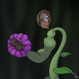 anthro anthro_prey biped black_markings black_nose black_spots body_outline brown_body countershade_face countershading cutaway flower head_tuft internal leg_markings male male_prey markings open_mouth plant plant_pred plant_vore scared simple_background socks_(marking) solo spots spotted_body teeth tongue tuft vore white_body white_countershading raevild elemental_creature felid feline flora_fauna lynx mammal 1:1 2025 hi_res