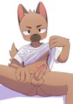 anthro balls biped blush blush_lines bodily_fluids brown_body brown_fur butt clothed clothing clothing_lift foreskin fur genital_fluids genitals glans humanoid_genitalia humanoid_penis kemono looking_at_viewer male male_anthro multicolored_body multicolored_fur pantsless partially_retracted_foreskin penis pointy_ears precum shirt shirt_lift simple_background sitting solo topwear two_tone_body two_tone_fur young young_anthro young_male grifet canid canine canis domestic_dog german_shepherd herding_dog mammal pastoral_dog absurd_res hi_res