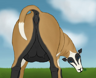 animal_genitalia animal_vulva anus black_body black_fur black_genitals blue_eyes brown_body brown_fur butt caprine_genitalia caprine_vulva cloud clover_(plant) clover_leaf facial_markings female feral field four_leaf_clover fur genitals head_markings leaf markings outside plant raised_tail short_fur sky solo spread_legs spreading tail teats udders white_body white_fur maklykan khali_(twistedewe) bovid caprine mammal sheep hi_res