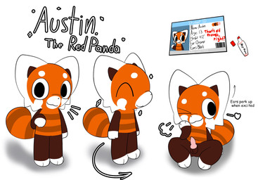 anthro balls erection genitals knot knotted_penis male markings penis simple_background solo stated_age stated_young text white_background white_markings young young_anthro young_male brainrotter101 austin_(brainrotter101) ailurid mammal red_panda english_text hi_res model_sheet