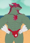 abs anthro anthrofied beach bulge chest_tuft clothing cloud day fingers green_body hands_on_hips lifeguard male muscular muscular_anthro muscular_male outside pecs sand seaside sky solo speedo stubble swimwear tuft water wet wet_body whistle_(object) shikohoro_(artist) nintendo pokemon pokemon_legends_arceus basculegion fish generation_8_pokemon marine pokemon_(species) hi_res sketch