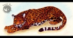 cert feline jaguar silvergrin spots
Rating: Safe
Score: 2
User: Silvergrin
Date: June 14, 2013