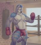 anthro biceps black_nose blue_body blue_eyes blue_fur blue_hair boxing_gloves bulge clothed clothing detailed_bulge erection fur genital_outline genitals grey_body grey_fur hair handwear inside jockstrap looking_at_viewer male multicolored_body multicolored_fur muscular muscular_anthro muscular_male navel nipples penis penis_outline presenting presenting_balls presenting_bulge presenting_penis punching_bag raised_arm smile solo standing teeth topless underwear white_body white_fur rrowdybeast frostwolf canid canine canis mammal wolf 2016 absurd_res hi_res