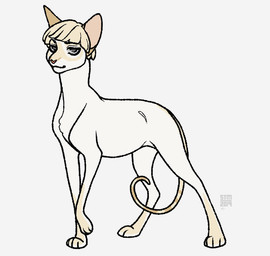 ambiguous_gender blonde_hair feral feral_with_hair feralized fur hair light_body light_fur long_tail quadruped simple_background skinny solo tail thin_tail white_background white_body white_fur silveyytm attack_on_titan yelena_(aot) colorpoint domestic_cat felid feline felis mammal shorthair_cat 2019 female_(lore)