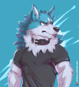anthro biceps biped blep blue_body blue_fur clothed clothing collar fur inner_ear_fluff male muscular muscular_anthro muscular_arms muscular_male pecs simple_background solo text tongue tongue_out triceps tuft white_body white_fur flunky brand_new_animal mythology studio_trigger shirou_ogami canid canine canis mammal mythological_canine mythological_creature werecanid werecanine werecreature werewolf wolf absurd_res hi_res url