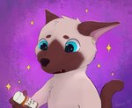 ambiguous_gender anthro cute_fangs drugs estrogen fangs hormone_replacement_therapy medication medicine open_mouth pills purple_background simple_background solo sparkles teeth haika domestic_cat felid feline felis mammal siamese hi_res