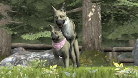 all_fours doggystyle duo female female_penetrated feral feral_on_feral feral_penetrated feral_penetrating feral_penetrating_feral forest from_behind_position fur male male/female male_penetrating male_penetrating_female mounting penetration penile penile_penetration penis_in_vagina plant realistic_feral sex tree vaginal vaginal_penetration wolfland leila_(wolfland) timber_(wolfland) canid canine canis domestic_dog mammal 16:9 2019 3d_(artwork) 3d_animation animated digital_media_(artwork) hi_res high_framerate huge_filesize no_sound short_playtime source_filmmaker_(artwork) webm widescreen