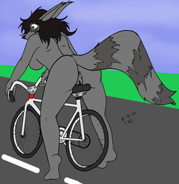 anthro anus bicycle black_hair black_nose breasts brown_anus brown_eyes brown_vulva butt female fluffy fluffy_tail fur genitals grey_body grey_fur hair markings nude nude_female outside public public_nudity rear_view ring_(marking) ringed_tail solo striped_markings striped_tail stripes tail tail_markings vehicle vulva sailoranna tracy_(sailoranna) mammal procyonid raccoon 2010 hi_res