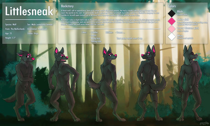 animal_genitalia anthro biped black_body black_ears black_fur black_sheath black_tail butt color_swatch digitigrade eyebrows forest front_view fully_sheathed fur genitals glistening glistening_eyes looking_back male monotone_body monotone_fur outside pink_eyebrows pink_eyes pink_inner_ear pink_nose plant pose rear_view sheath shrub solo standing tail text tree yookie canid canine canis mammal wolf 2017 5:3 dated english_text hi_res model_sheet signature
