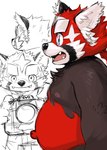 2021 absurd_res ailurid anthro belly black_body black_nose camera clothing cute_fangs hi_res kemono kita_9999 lifewonders male mammal model_sheet moobs multiple_poses navel nipples overweight overweight_male pose red_body red_panda shirt solo tokyo_afterschool_summoners topwear zhurong_(tas)