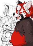 anthro belly black_body black_nose camera clothing cute_fangs fangs kemono male moobs multiple_poses navel nipples overweight overweight_male pose red_body shirt solo teeth topwear kita_9999 lifewonders tokyo_afterschool_summoners zhurong_(tas) ailurid mammal red_panda 2021 absurd_res hi_res model_sheet