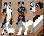 male markings natural_colors paws smile smirk solo spots spotted_body gjaravont kiba_aussie australian_shepherd canid canine canis domestic_dog herding_dog mammal pastoral_dog sheepdog absurd_res hi_res model_sheet