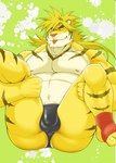 anthro balls_outline belly blep briefs bulge clothing detailed_bulge fur genital_outline green_eyes legs_up male muscular muscular_anthro muscular_male nipples pecs solo spread_legs spreading striped_body striped_fur stripes tongue tongue_out underwear yellow_body yellow_fur orange-lin lifewonders tokyo_afterschool_summoners macan_(tas) felid mammal pantherine tiger hi_res